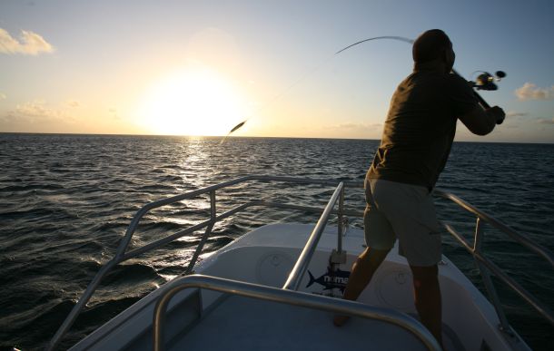 Pew “too busy” to take up Coral Sea invite